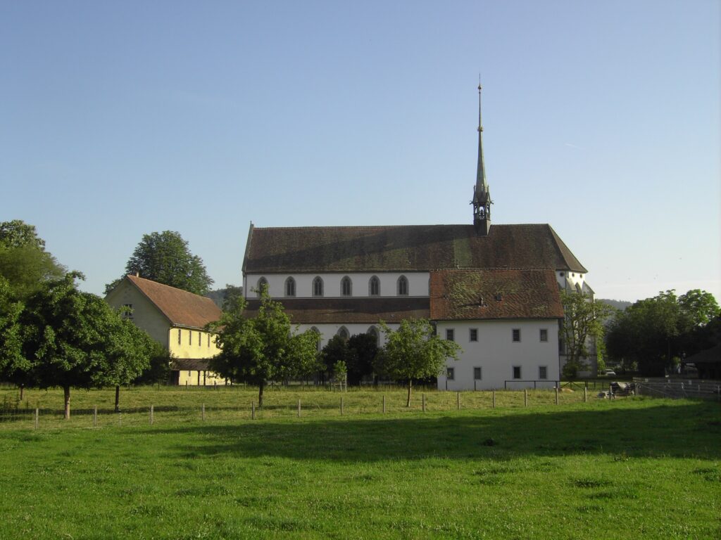 Ein Foto einer Klosterkirche vor blauem Himmel, im Vordergrund grüne Wiese