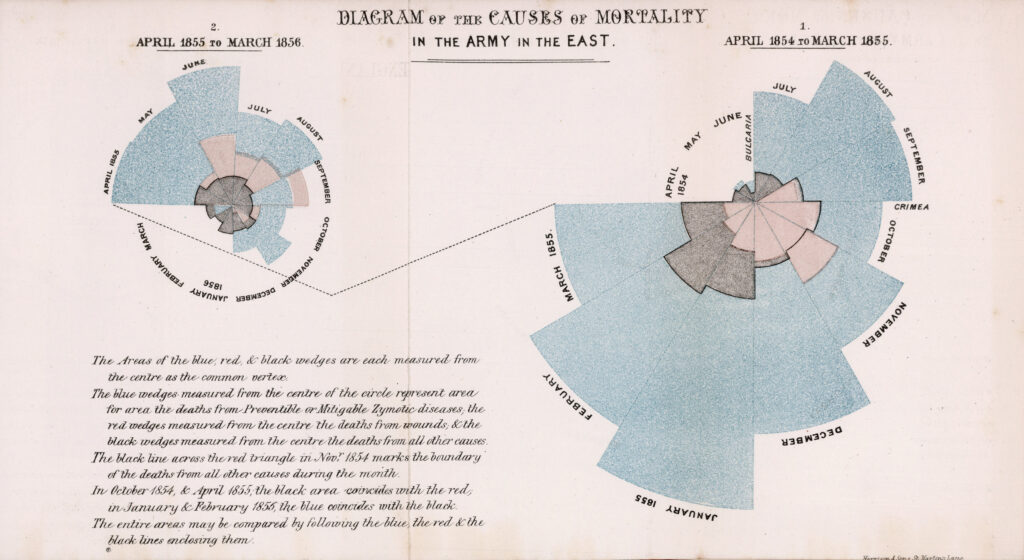 DIAGRAM OF THE CAUSES OF MORTALITY